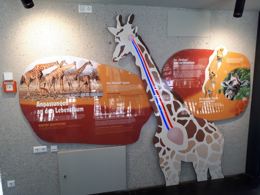20170519_122008